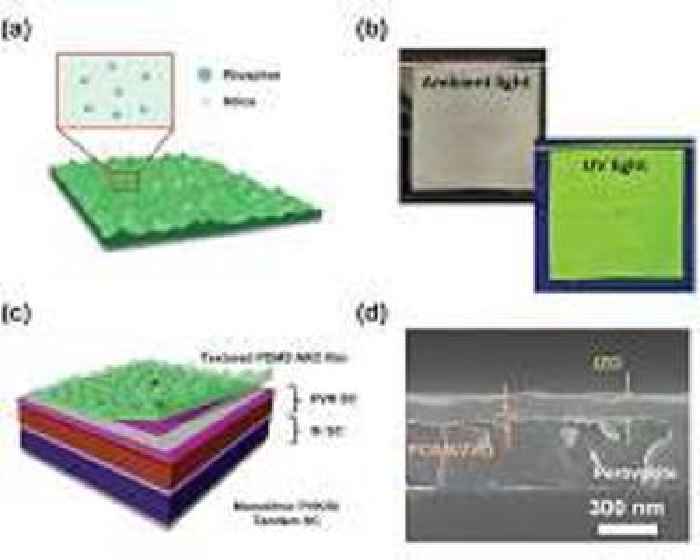New study finds ways to improve light absorption in perovskite silicon tandem solar cells