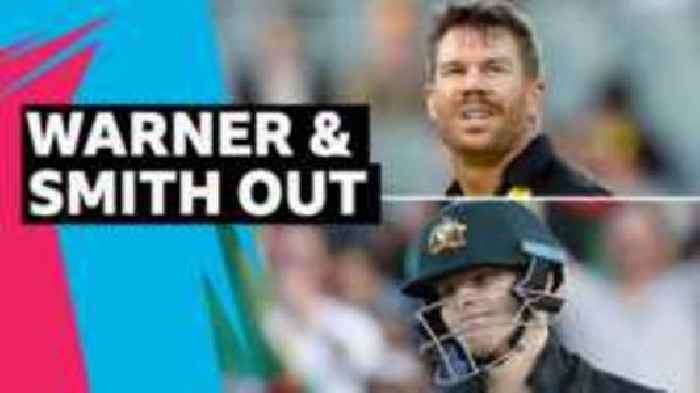 Warner and Smith gone in same over
