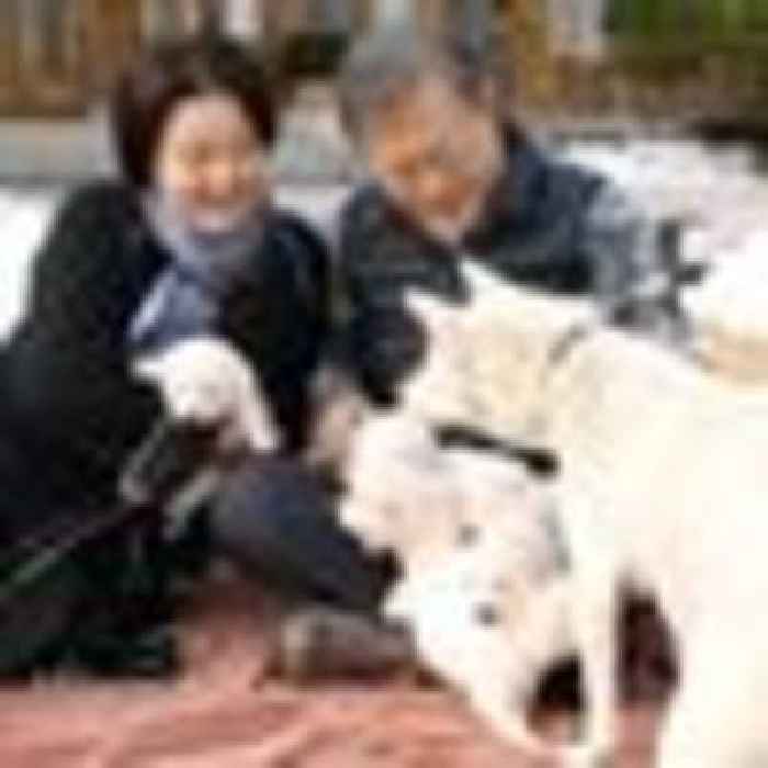 South Korea's former president to give up dogs gifted by Kim Jong Un in row over cash