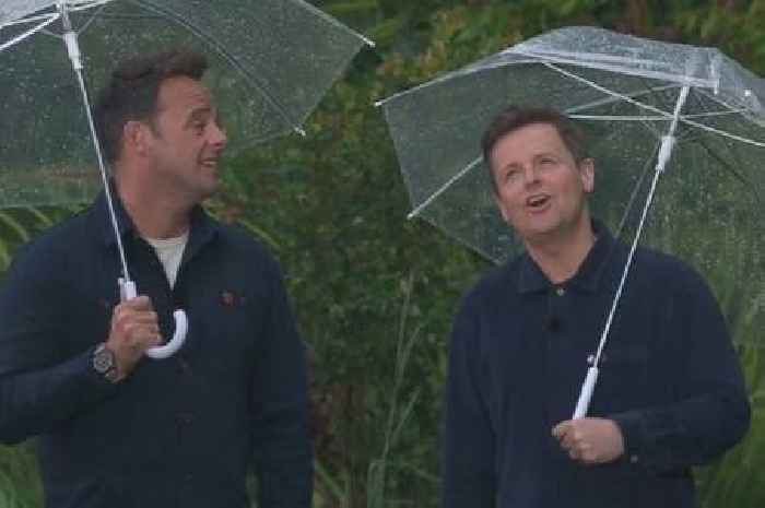 ITV I'm A Celebrity star Ant McPartlin snaps at Declan Donnelly in tense spat