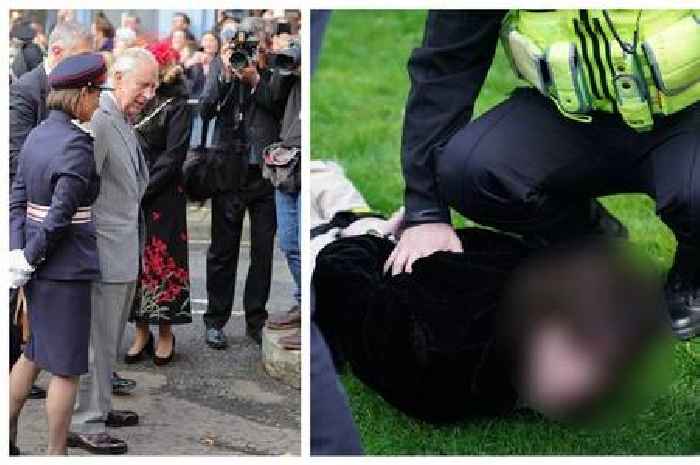 Police wrestle man to ground after eggs thrown at King Charles and Camilla