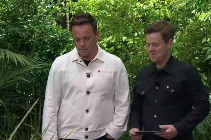 ITV I'm A Celebrity fans distracted by Ant's appearance as they spot career move