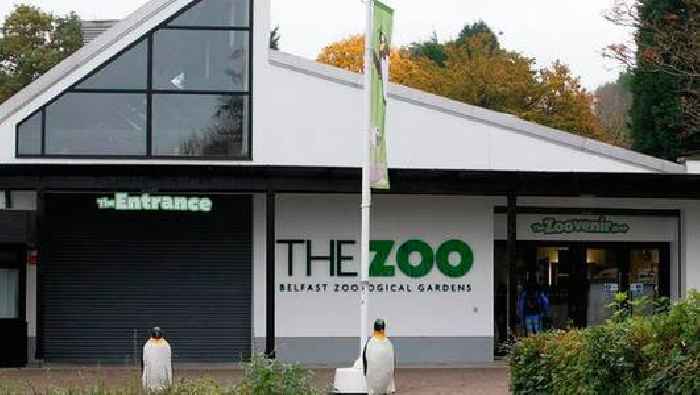 Council gives go ahead for 5K race at Belfast Zoo