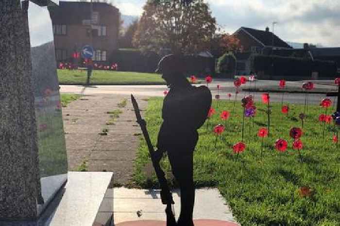Stunning field of poppies in Brockworth for Remembrance Day in pictures