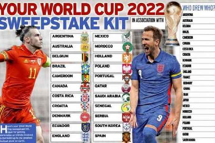World Cup 2022 sweepstake kit: Free printable PDF with every team