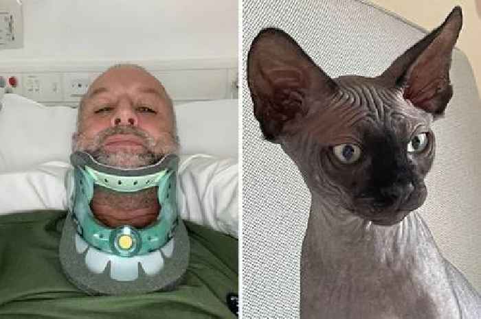 Countesthorpe man left with 'car crash' injuries after tripping over hairless pet cat
