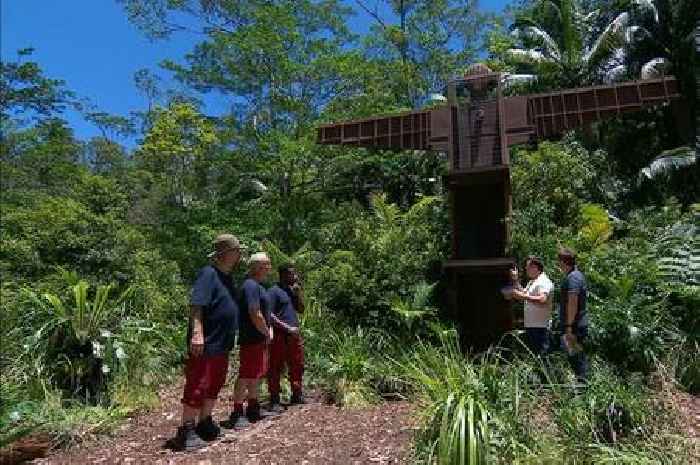 ITV I'm A Celebrity viewers spot 'brutal' Ant and Dec's frustration with trio