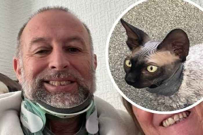 Trip over hairless pet cat leaves man with 'car crash' injuries