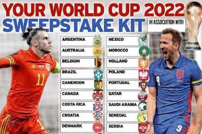World Cup 2022 sweepstake: Download free kit here for Qatar tournament
