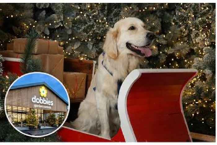 New M5 Dobbies Christmas grotto for dogs proves must-have ticket of festive season