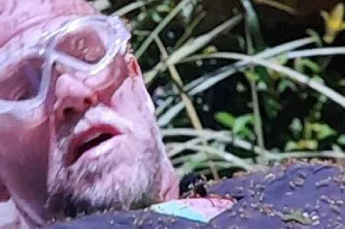 I'm A Celebrity: Mike Tindall ambushed by ants as he faces first Bushtucker Trial