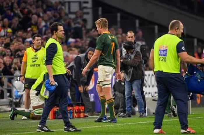South Africa and France giants banned for rest of autumn but Pieter-Steph du Toit denies his head charge deserved a red card