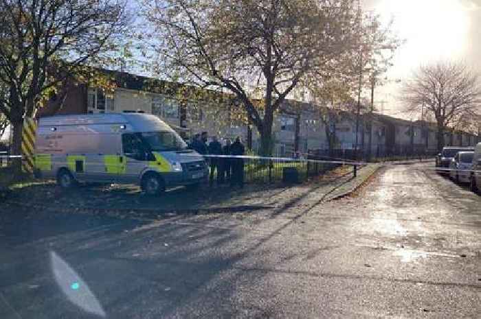 Joint murder investigation launched as children, aged 1 and 3, killed in Clifton flat fire