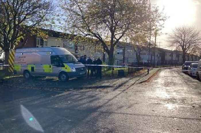 Murder probe after Midlands baby and toddler die in flat fire