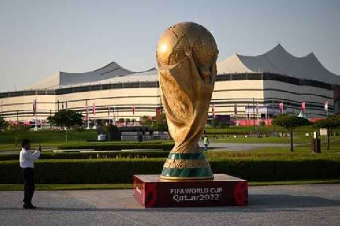 Latest Qatar World Cup 2022 outright odds including England's chances of success