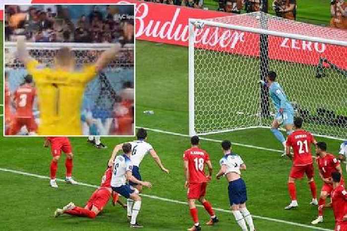 Jordan Pickford drops to his knees as he 'celebrates too soon' for Harry Maguire chance