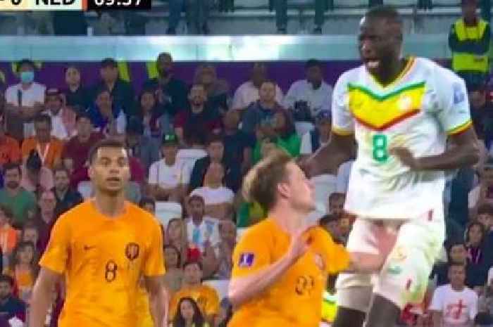 Senegal star stretchered off after being 'slapped in the nuts' vs Netherlands