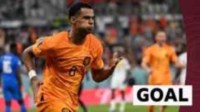 Gakpo opens Netherlands World Cup account