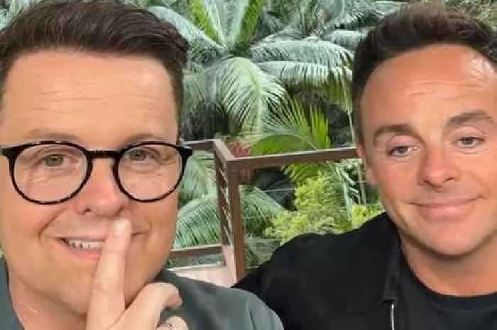 ITV I'm A Celebrity fans shocked as Ant and Dec call Alison Hammond 'awful'