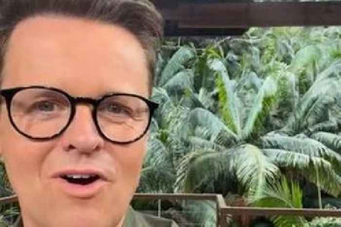 ITV I'm A Celebrity's Ant tells Dec he's 'in trouble' as private text pops up