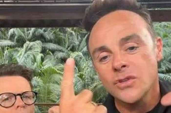 ITV I'm A Celebrity hosts Ant and Dec 'hated' by crew after brutal swipe