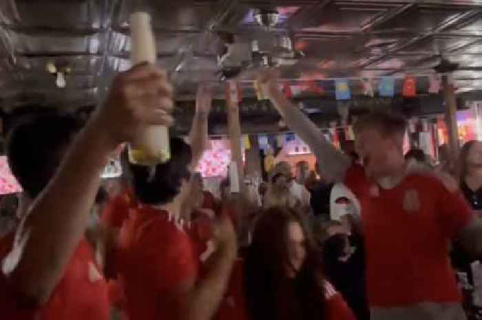 Wales fans gatecrash packed American bar and go absolutely mad when Gareth Bale scores