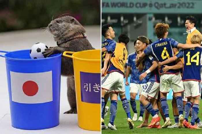 Clairvoyant otter unbelievably predicts Japan's shock World Cup victory over Germany