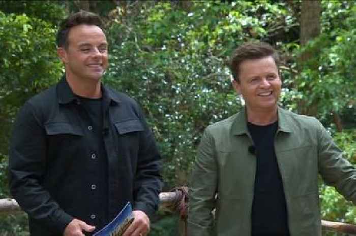 ITV I'm A Celebrity star Declan Donnelly mortified after swearing accidentally live on-air