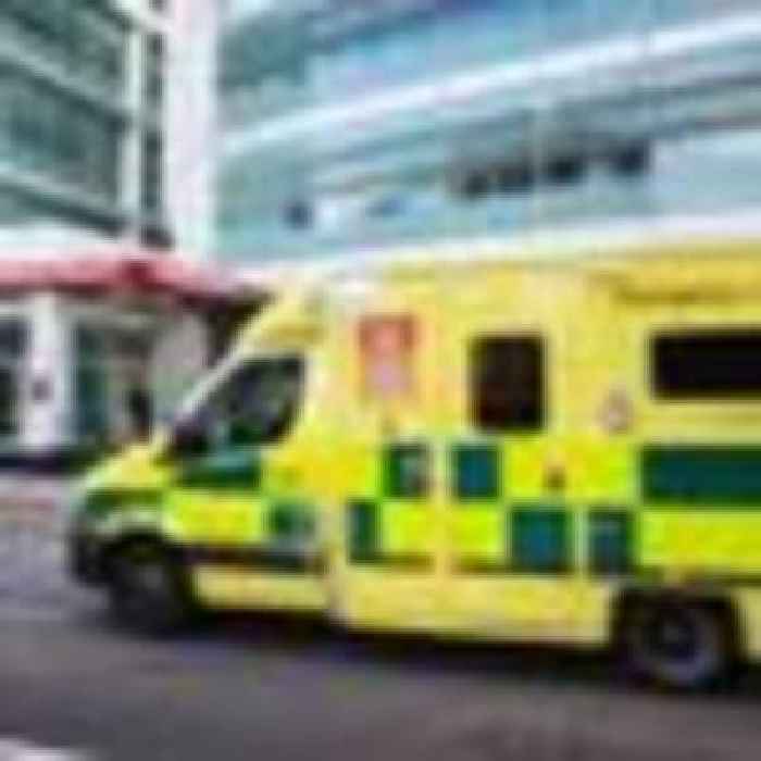 Patient caused ambulance crash after trying to hack off paramedic's ear with meat cleaver