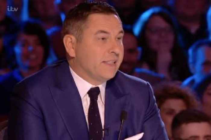 David Walliams reportedly quits Britain's Got Talent after 'vile' comments leaked