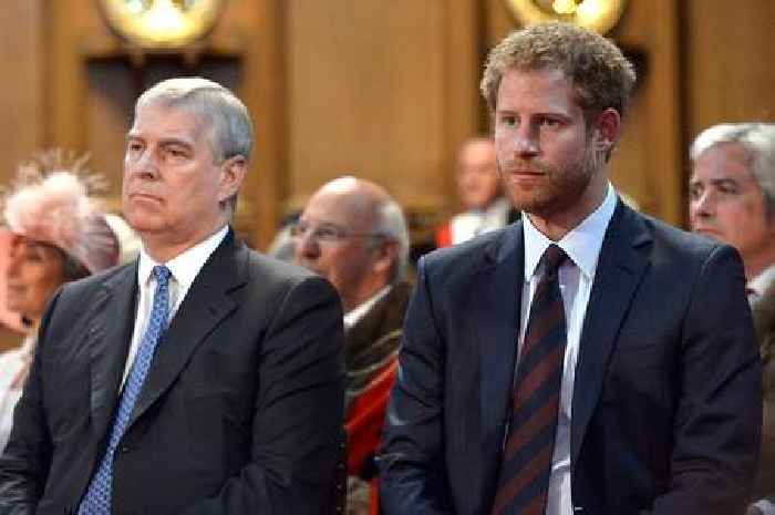 Prince Harry and Andrew were 'embarrassed' to be stripped of royal roles