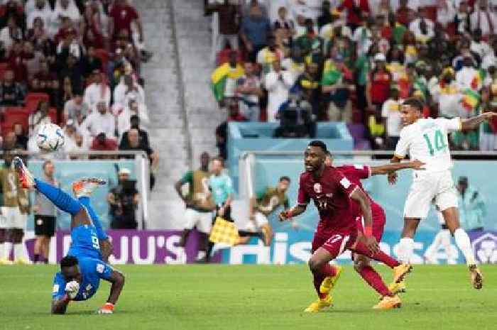 'Best in the world' - Chelsea supporters react as Edouard Mendy recovers his best form vs Qatar