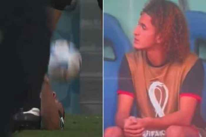 Man Utd star Hannibal lobs ball at player's face and almost sparks huge World Cup brawl