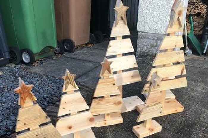 Ayrshire nurse carves out Christmas cheer by raising festive funds through wooden tree sales