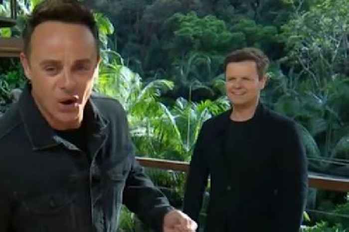 ITV I'm A Celebrity viewers spot Ant and Dec's 'relief' as Matt Hancock finishes third