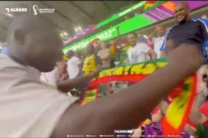 Ghana fan brutally trolls South Korea fans to their face after World Cup goal