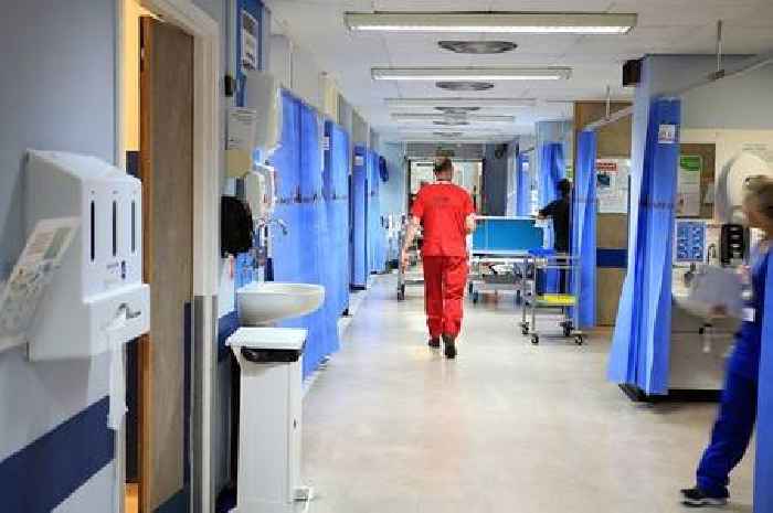Slowdown of European doctors working in NHS after Brexit is 'inarguable'
