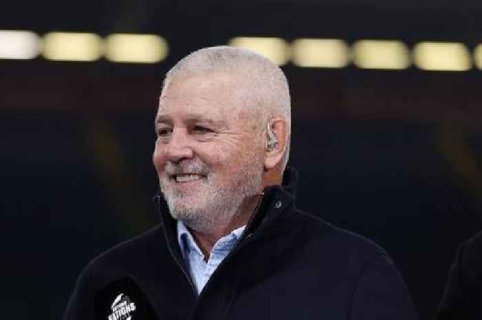 Warren Gatland's former Wales player urges WRU not to appoint him again