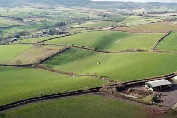 Controversial A38 Orange Elephant farmland landfill site plans are back