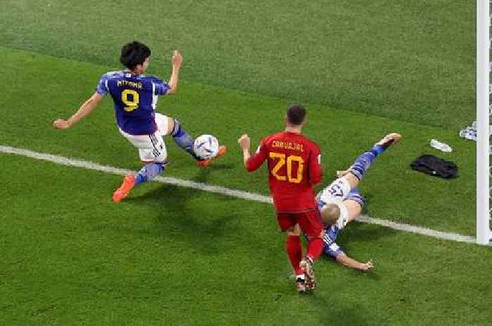 FIFA release new angle of controversial Japan goal that knocked Germany out of World Cup