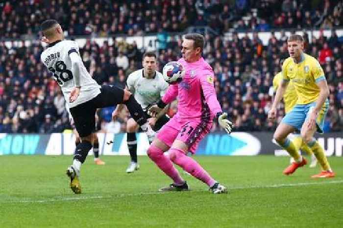 'Magnificently' - Derby County player ratings vs Sheffield Wednesday as Rams hold firm