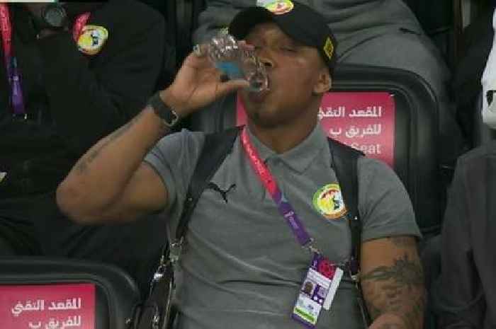 El Hadji Diouf's bulked-up look stuns fans as he watches England vs Senegal at World Cup