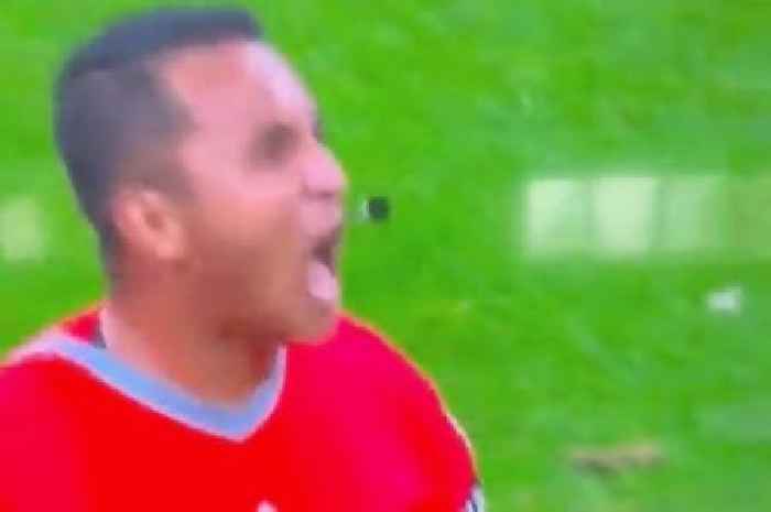 Fans spot fed-up referee screaming 'shut up' in England's win over Senegal