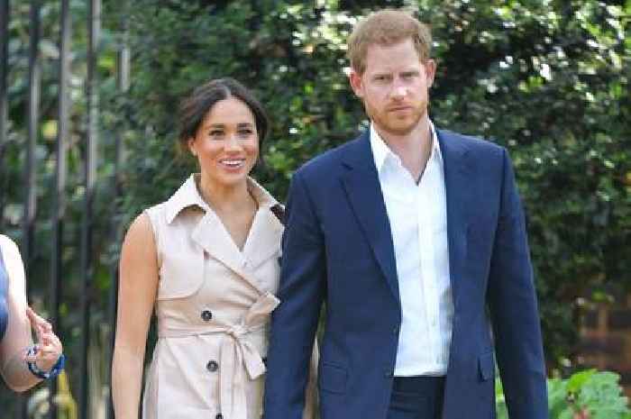 Archewell boss resigns days before Harry and Meghan's Netflix documentary airs