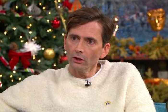 David Tennant describes Doctor Who return as 'a very lovely present'