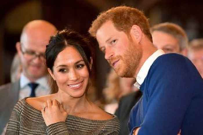 Harry and Meghan's Netflix series proves some of their claims weren't true