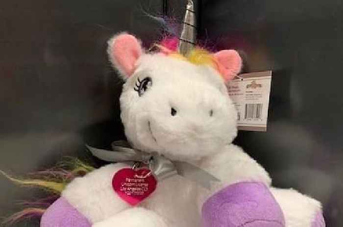 Girl granted special licence to own a unicorn by local authorities