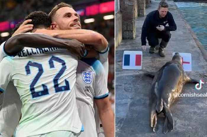 Psychic seal 'Banana' also backing England to beat France in World Cup showdown