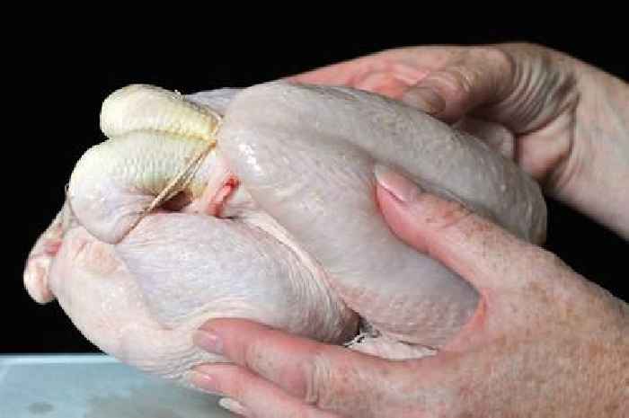 Six signs to look out for after urgent salmonella warning issued