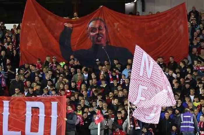 'Crying out' - Nottingham Forest sent January transfer instructions after Olympiacos defeat